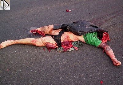 crushed-20heads-20-2816-29.jpg