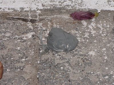 female-20drugdealer-20executed-2009.jpg