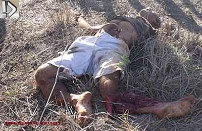 brutal-20leg-20injury-20-281-29.jpg