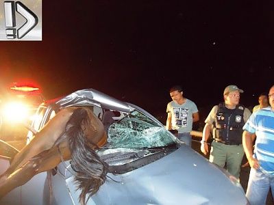horse-20hit-20by-20car-20-282-29.jpg