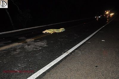 dead-20motorist-20-284-29.jpg