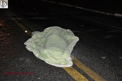 dead-20motorist-20-285-29.jpg