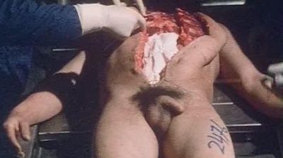 07.jpg
