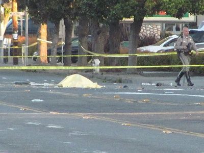 april-2019-2013-20fatal-20sheriff-20vs.-20ped-20-20in-20hayward-2c-20ca-2cusa-20-ps-20007.jpg