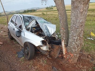 26-20yo-20woman-20killed-20in-20collision-20against-20tree-2010.jpg