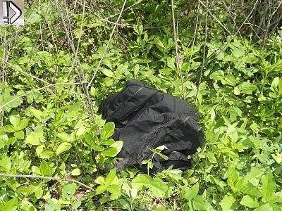 homeless-20man-20beaten-20death-20-283-29.jpg