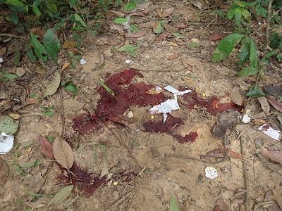 14-20yo-20girl-20found-20with-20neck-20cut-2011.jpg
