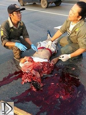 brutaly-20smashed-20head.jpg