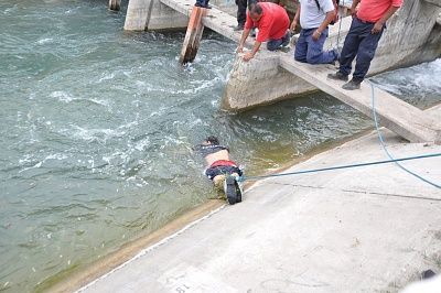 swim.jpg