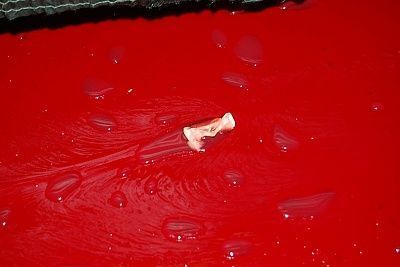 41-20yo-20woman-20killed-20by-20her-20brother-2007.jpg