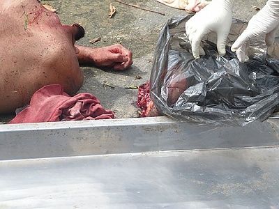 28-20yo-20man-20decapitated-2005.jpg