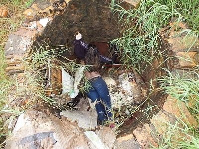 24-20yo-20woman-20found-20dead-20in-20a-20well-2006.jpg