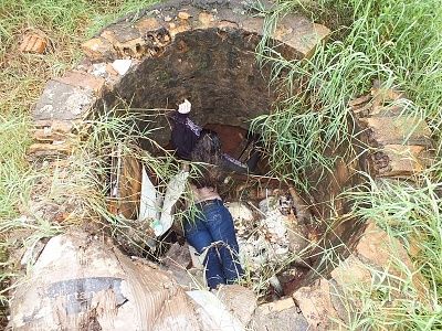24-20yo-20woman-20found-20dead-20in-20a-20well-2011.jpg