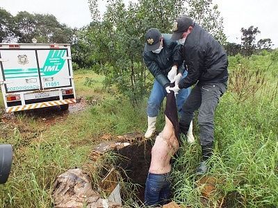 24-20yo-20woman-20found-20dead-20in-20a-20well-2024.jpg