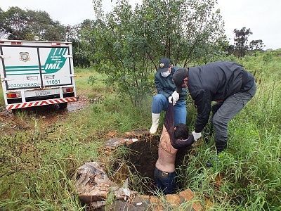 24-20yo-20woman-20found-20dead-20in-20a-20well-2026.jpg