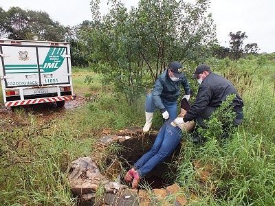 24-20yo-20woman-20found-20dead-20in-20a-20well-2035.jpg