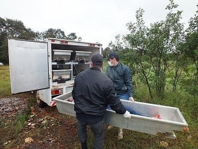 24-20yo-20woman-20found-20dead-20in-20a-20well-2071.jpg