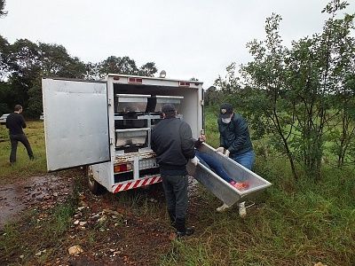24-20yo-20woman-20found-20dead-20in-20a-20well-2073.jpg