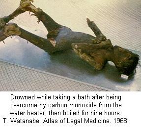 boiled for 9 hours.jpg