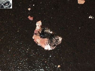 splattered-20naked-20dude-20cock-20exposed-20-286-29.jpg