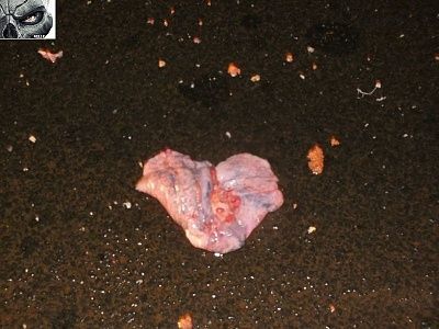 splattered-20naked-20dude-20cock-20exposed-20-2824-29.jpg