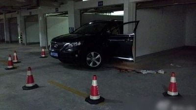 park1.jpg