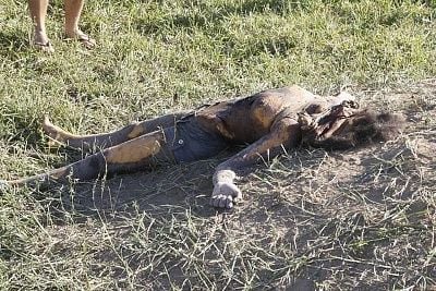 28-20yo-20-28approx-29-20woman-20found-20with-20head-20smashed-2001.jpg