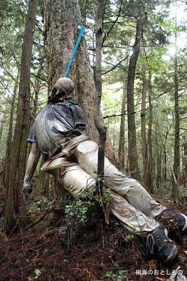 forest.jpg