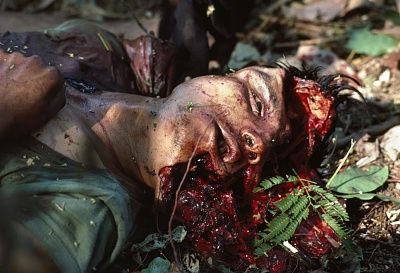 brutal-20head-20wound.jpg