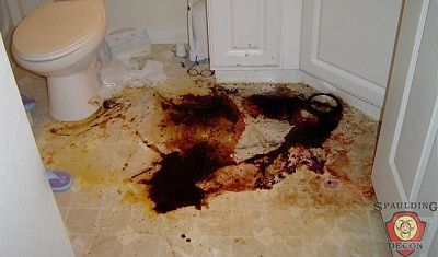 decomposition4.jpg