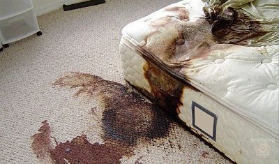 decomposition31.jpg