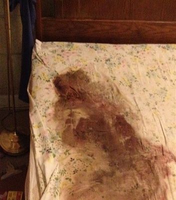 tumblr_m85j51ceyl1r8vrhxo1_500.jpg