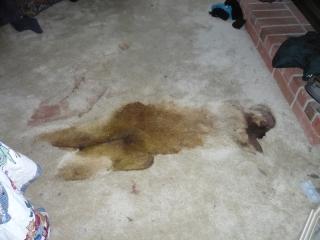 crime_scene_cleanup_Santa_Monica_4_ezr.jpg