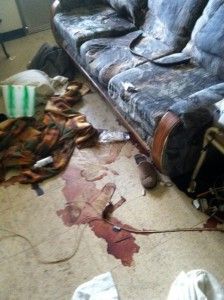 crimescenecleanup1-224x300.jpg