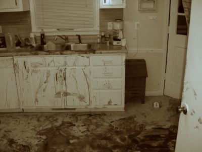 28186d1228764897-bloody-crime-scene-when-woman-attacked-home-suewhite16.jpg