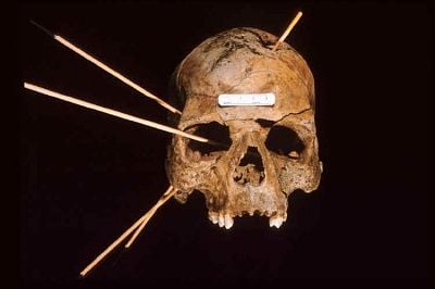 pafor059.jpg