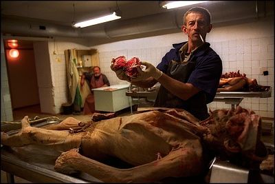 random-20gore-20pic-20thread-20-2820-29.jpg