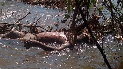 floater1.jpg