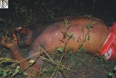 part-20decomp-20man-20found-20-281-29.jpg