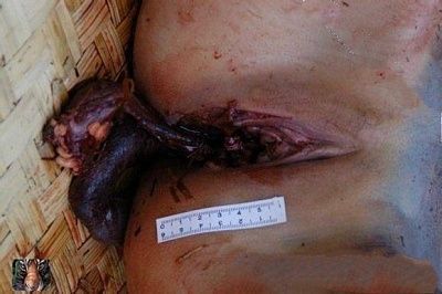 dead-20naked-20female-20-284-29.jpg
