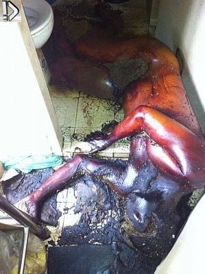 rotten-20body-20-281-29.jpg