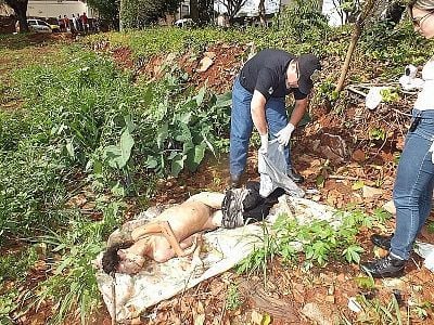 female-20druguser-20found-20dead-2012.jpg