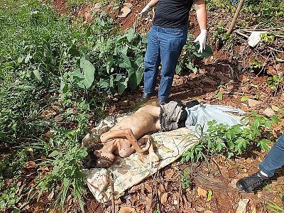 female-20druguser-20found-20dead-2015.jpg