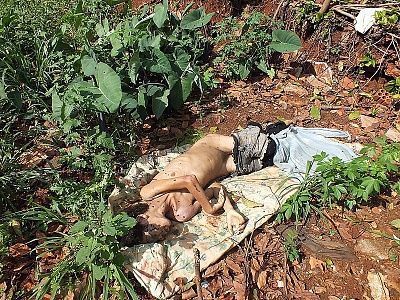 female-20druguser-20found-20dead-2018.jpg