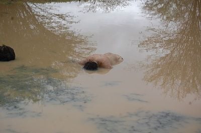 dsc_0085.jpg