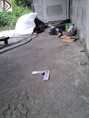 husband-20dead-20back-20yard-20-284-29.jpg