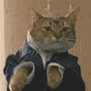 kittygotdamoves.gif
