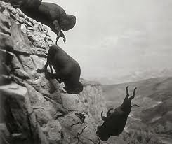 Head-Smashed-In%20Buffalo%20Jump.jpg