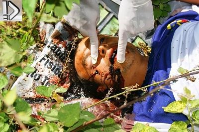 drug-20user-20killed-20-282-29.jpg