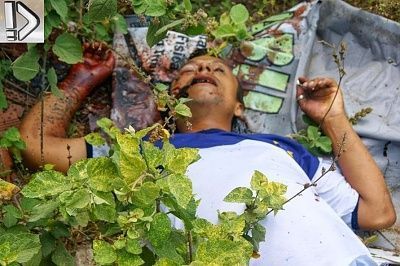 drug-20user-20killed-20-286-29.jpg